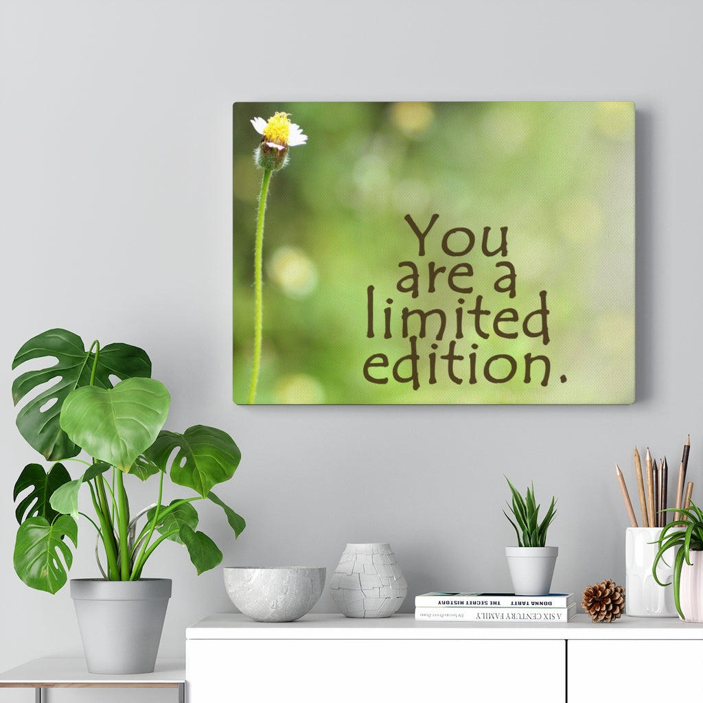Scripture Walls Inspirational Wall Art You Are A Limited Edition Motivational Print Ready to Hang Artwork Unframed-Express Your Love Gifts