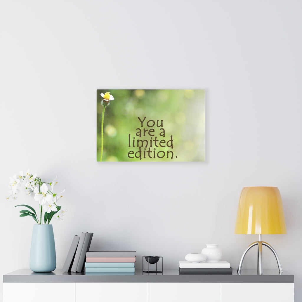 Scripture Walls Inspirational Wall Art You Are A Limited Edition Motivational Print Ready to Hang Artwork Unframed-Express Your Love Gifts