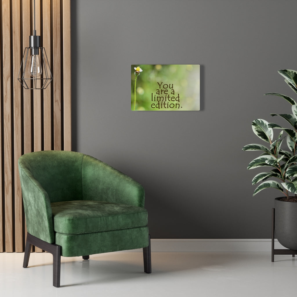 Scripture Walls Inspirational Wall Art You Are A Limited Edition Motivational Print Ready to Hang Artwork Unframed-Express Your Love Gifts