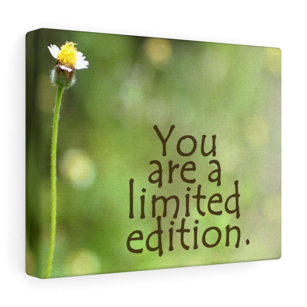 Scripture Walls Inspirational Wall Art You Are A Limited Edition Motivational Print Ready to Hang Artwork Unframed-Express Your Love Gifts