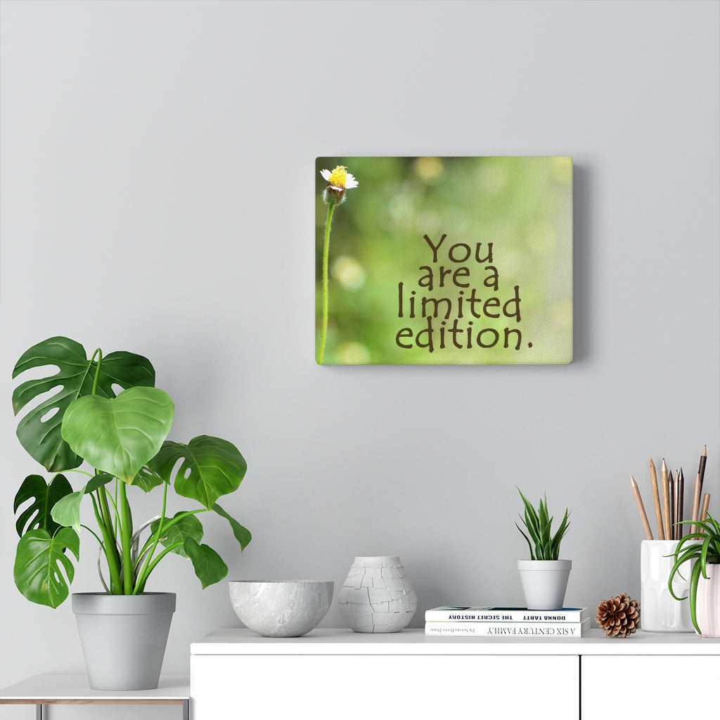 Scripture Walls Inspirational Wall Art You Are A Limited Edition Motivational Print Ready to Hang Artwork Unframed-Express Your Love Gifts