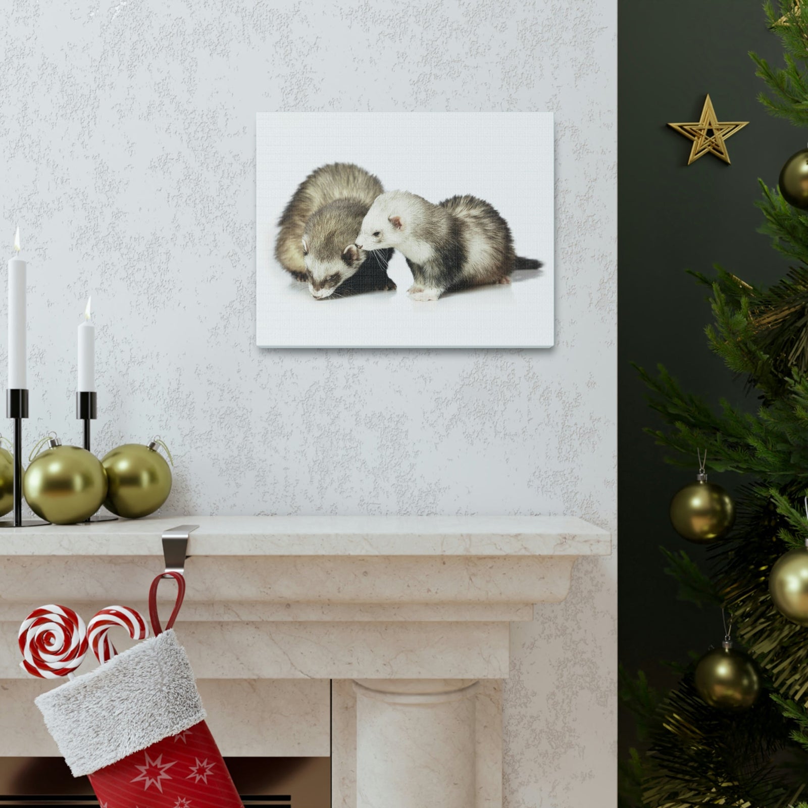 Scripture Walls Isolated Couple Badger Print Animal Wall Art Wildlife Canvas Prints Wall Art Ready to Hang Unframed-Express Your Love Gifts