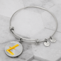 Litecoin Gold Bracelet Stainless Steel or 18k Gold Circle Bangle-Express Your Love Gifts