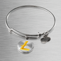 Litecoin Gold Bracelet Stainless Steel or 18k Gold Circle Bangle-Express Your Love Gifts