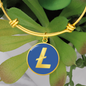 Litecoin (LTC) Bracelet Stainless Steel or 18k Gold Circle Bangle-Express Your Love Gifts