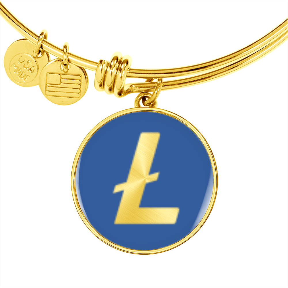 Litecoin (LTC) Bracelet Stainless Steel or 18k Gold Circle Bangle-Express Your Love Gifts