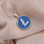 Litecoin (LTC) Circle Necklace Stainless Steel or 18k Gold 18-22"-Express Your Love Gifts