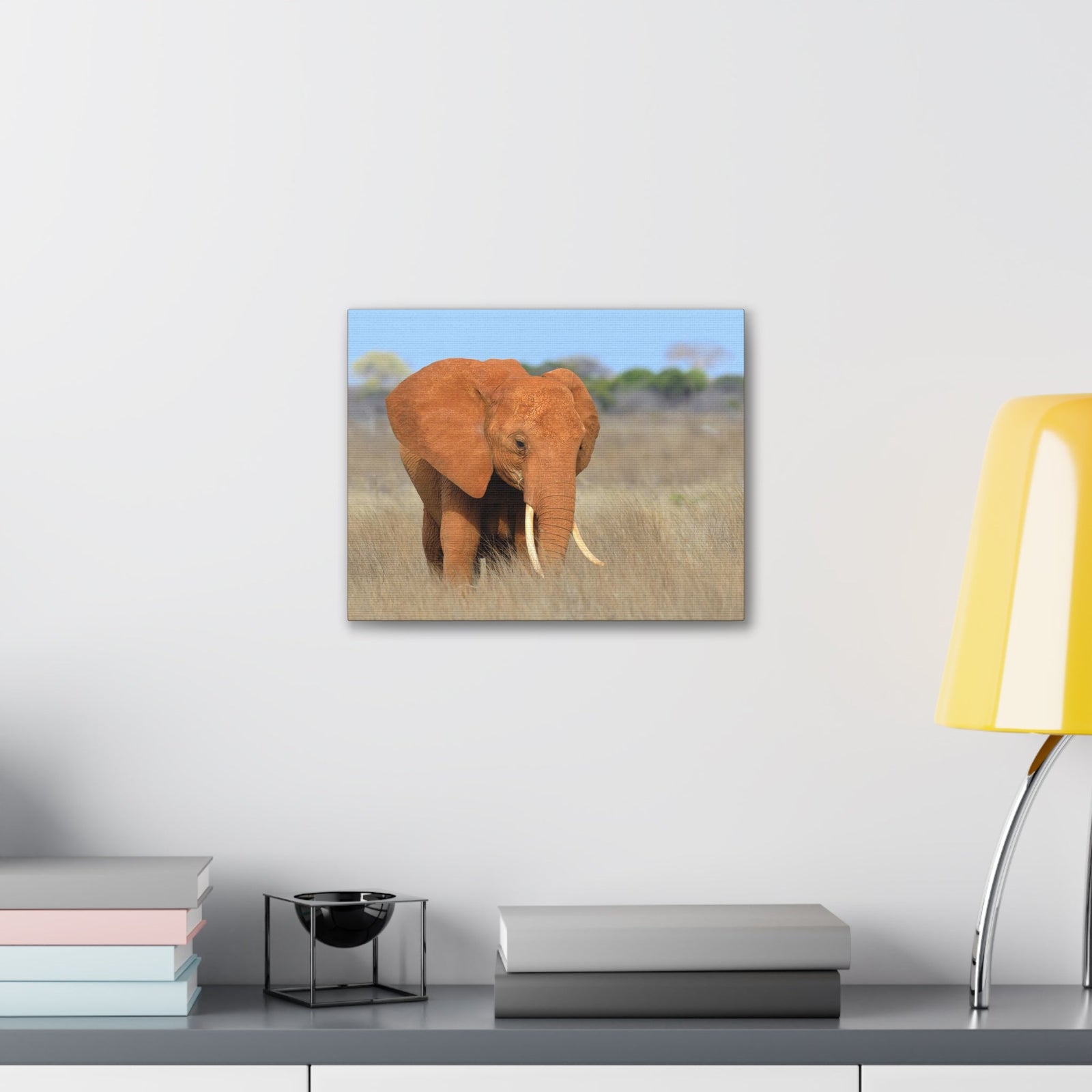 Majestic African Elephant on Grassland Outdoor Wall Art Ready To Hang Unframed-Express Your Love Gifts