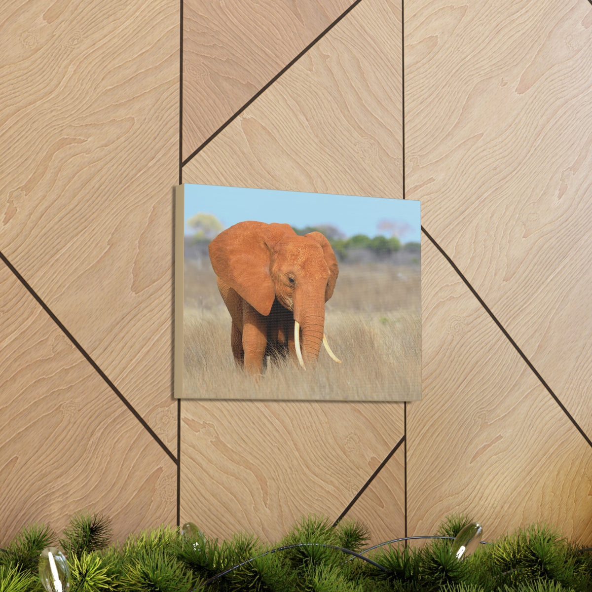 Majestic African Elephant on Grassland Outdoor Wall Art Ready To Hang Unframed-Express Your Love Gifts
