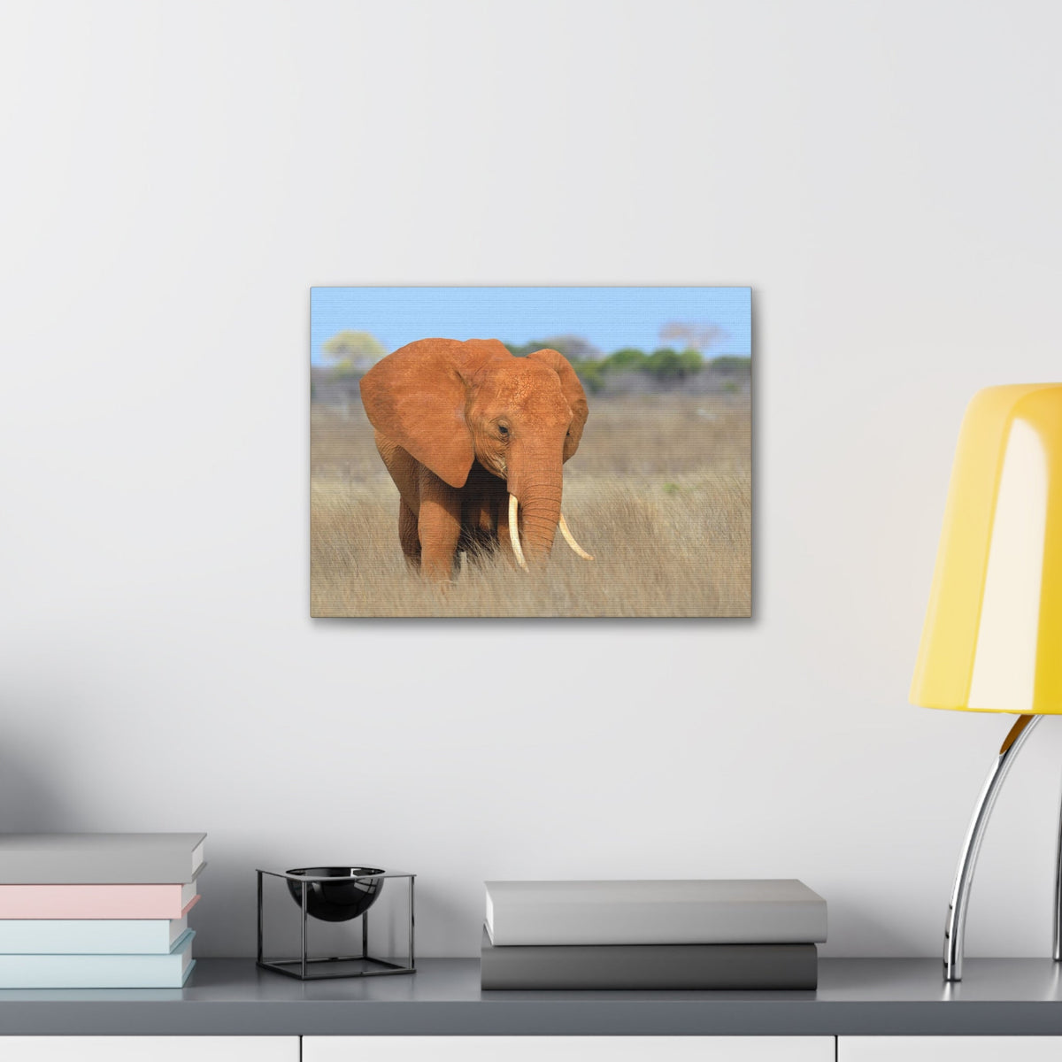 Majestic African Elephant on Grassland Outdoor Wall Art Ready To Hang Unframed-Express Your Love Gifts