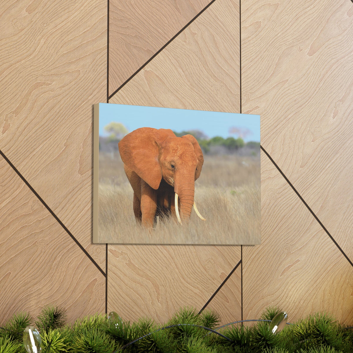 Majestic African Elephant on Grassland Outdoor Wall Art Ready To Hang Unframed-Express Your Love Gifts