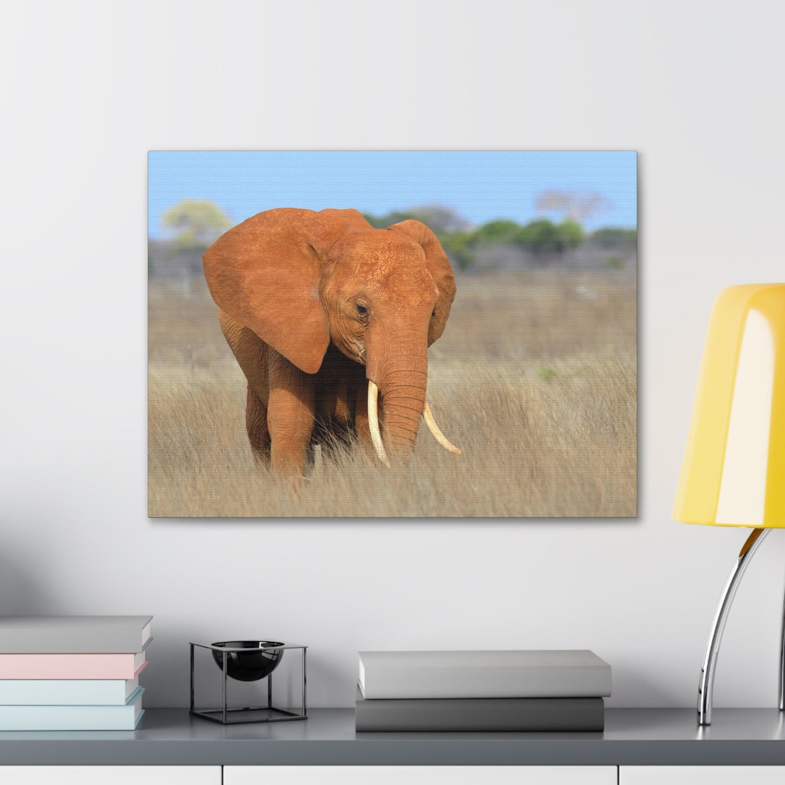 Majestic African Elephant on Grassland Outdoor Wall Art Ready To Hang Unframed-Express Your Love Gifts
