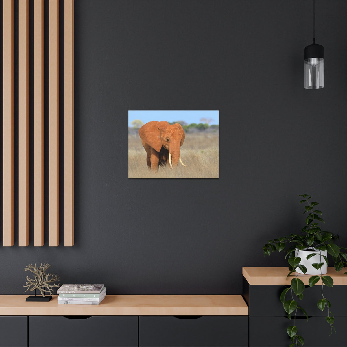 Majestic African Elephant on Grassland Outdoor Wall Art Ready To Hang Unframed-Express Your Love Gifts