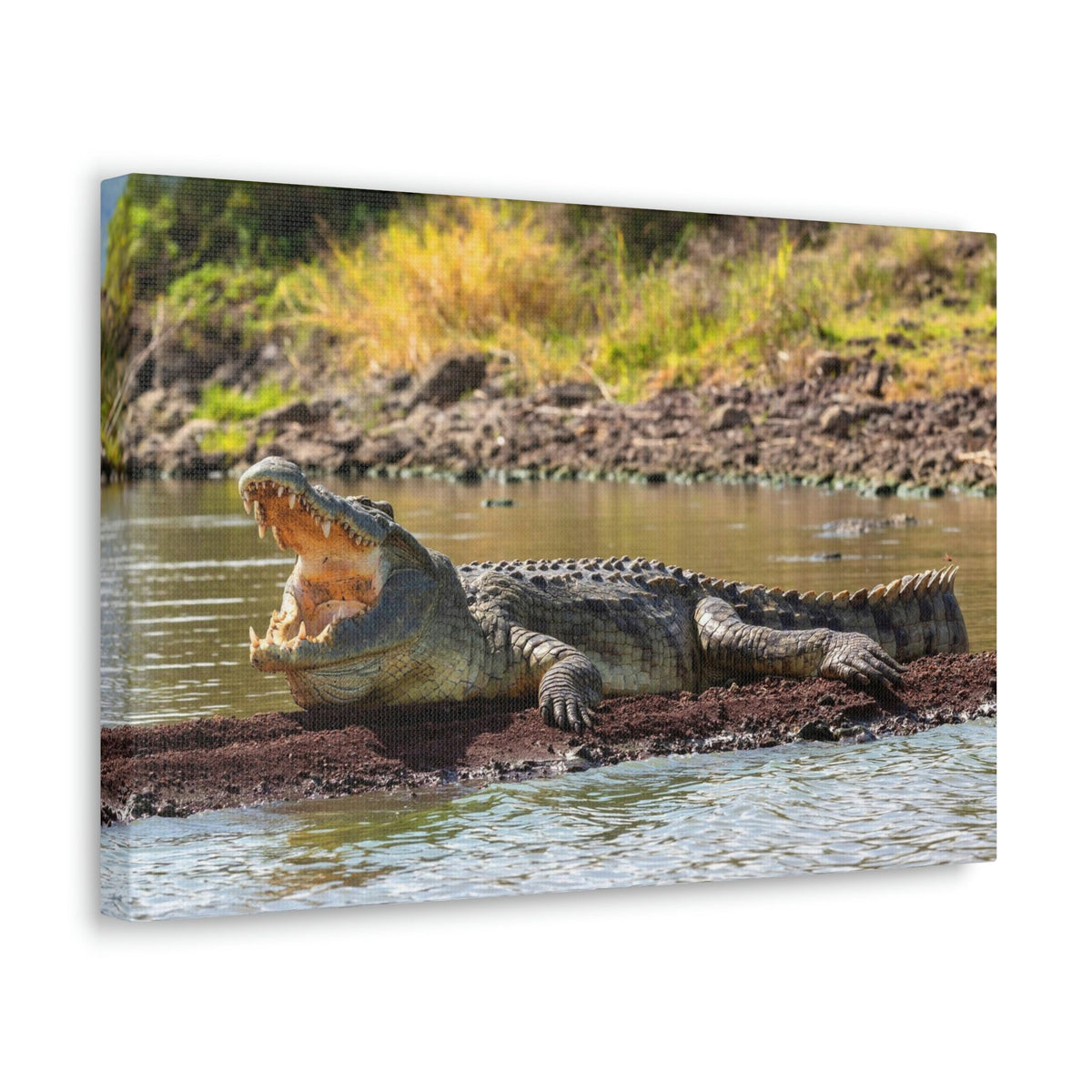 Scripture Walls Majestic Alligator Art Majestic Alligator Print Animal Wall Art Wildlife Canvas Prints Wall Art Ready to Hang Unframed-Express Your Love Gifts