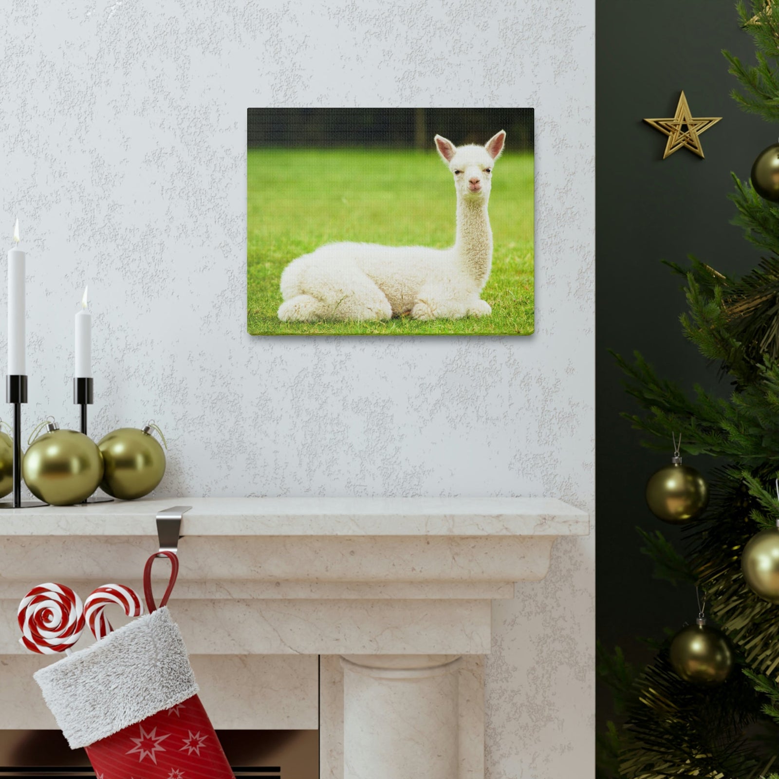 Scripture Walls Majestic Alpaca Art Majestic Alpaca Print Animal Wall Art Wildlife Canvas Prints Wall Art Ready to Hang Unframed-Express Your Love Gifts