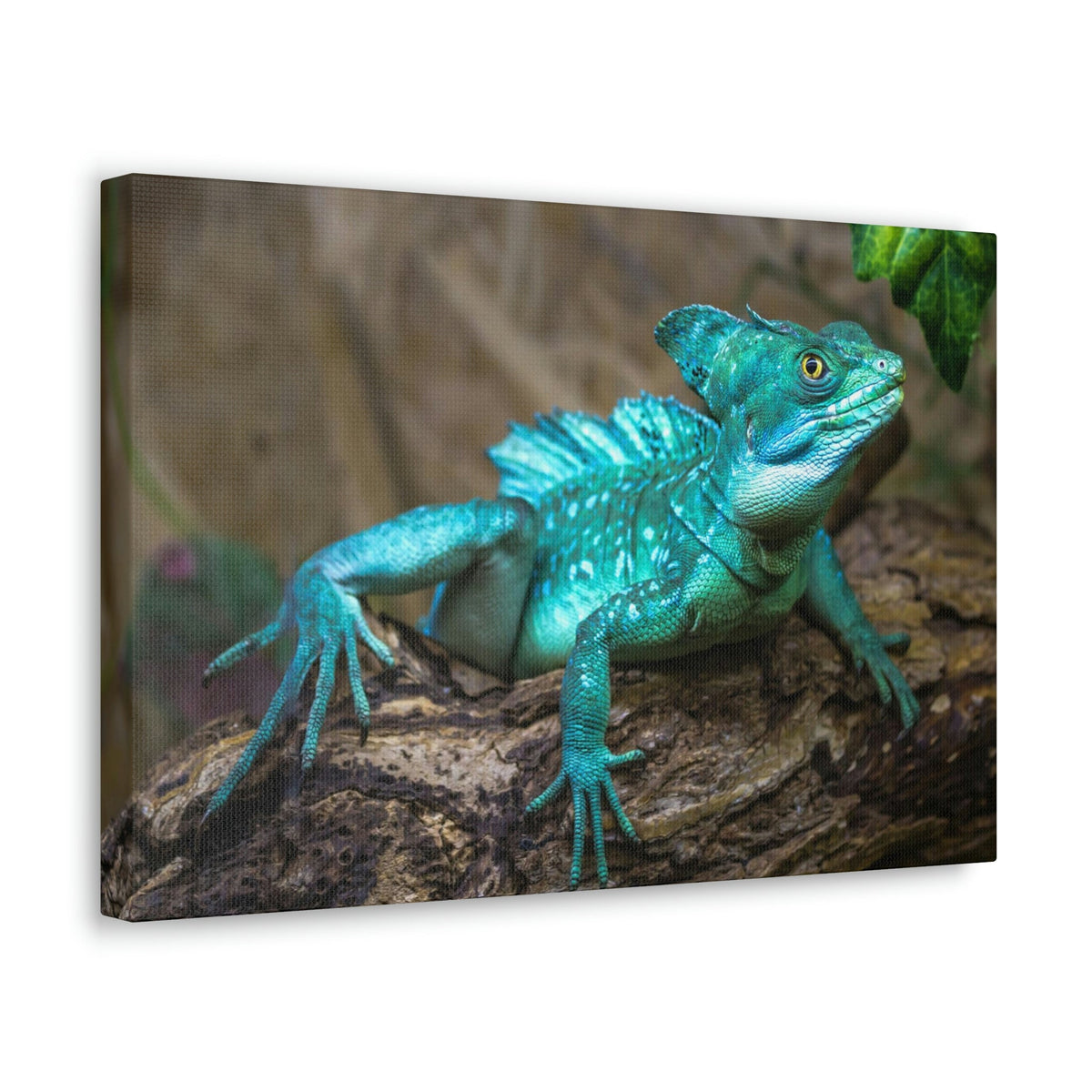 Scripture Walls Majestic Basilisk Art Majestic Basilisk Print Animal Wall Art Wildlife Canvas Prints Wall Art Ready to Hang Unframed-Express Your Love Gifts