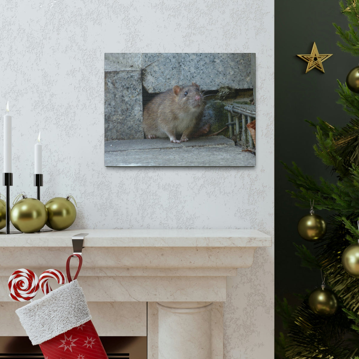 Scripture Walls Majestic Rat Art Majestic Rat Print Animal Wall Art Wildlife Canvas Prints Wall Art Ready to Hang Unframed-Express Your Love Gifts