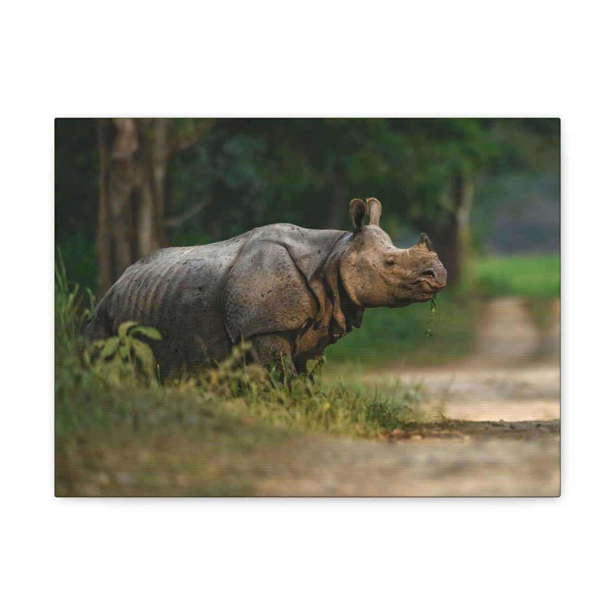 Scripture Walls Majestic Rhino Art Majestic Rhino Print Animal Wall Art Wildlife Canvas Prints Wall Art Ready to Hang Unframed-Express Your Love Gifts