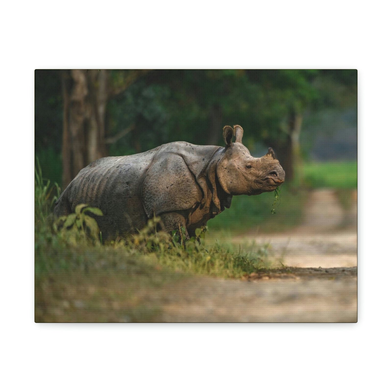 Scripture Walls Majestic Rhino Art Majestic Rhino Print Animal Wall Art Wildlife Canvas Prints Wall Art Ready to Hang Unframed-Express Your Love Gifts