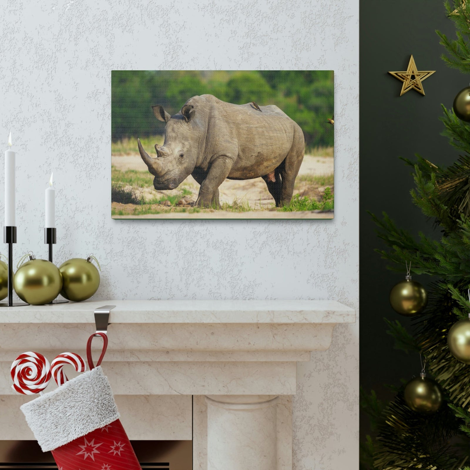 Scripture Walls Majestic Rhinoceros Art Majestic Rhinoceros Print Animal Wall Art Wildlife Canvas Prints Wall Art Ready to Hang Unframed-Express Your Love Gifts