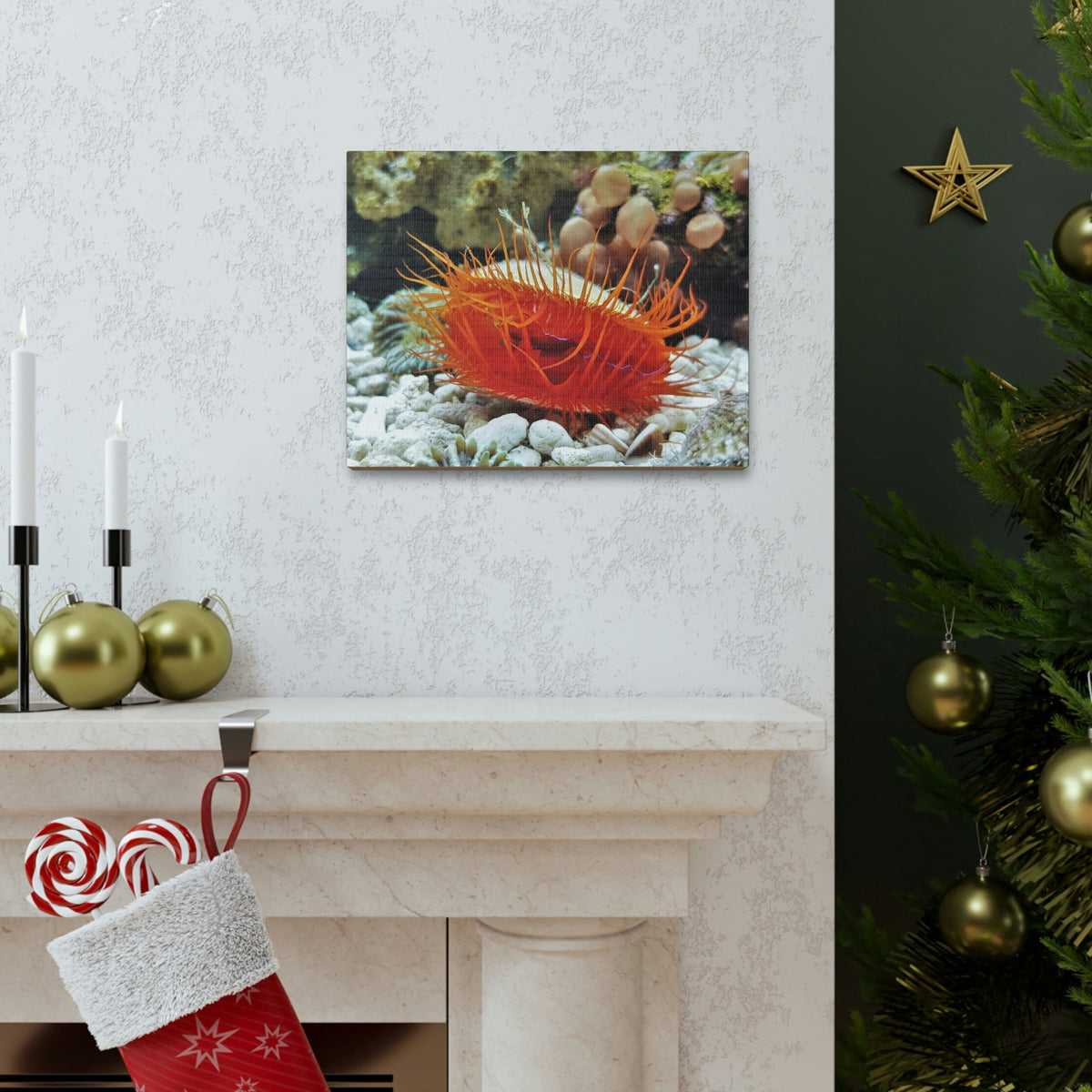 Scripture Walls Majestic Scallop Art Majestic Scallop Print Animal Wall Art Wildlife Canvas Prints Wall Art Ready to Hang Unframed-Express Your Love Gifts