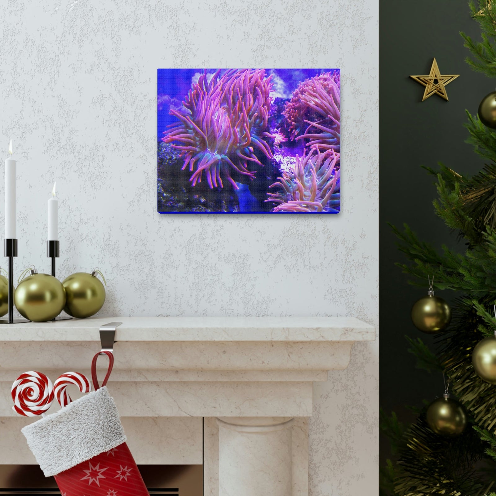 Scripture Walls Majestic Sea Anemone Art Majestic Sea Anemone Print Animal Wall Art Wildlife Canvas Prints Wall Art Ready to Hang Unframed-Express Your Love Gifts