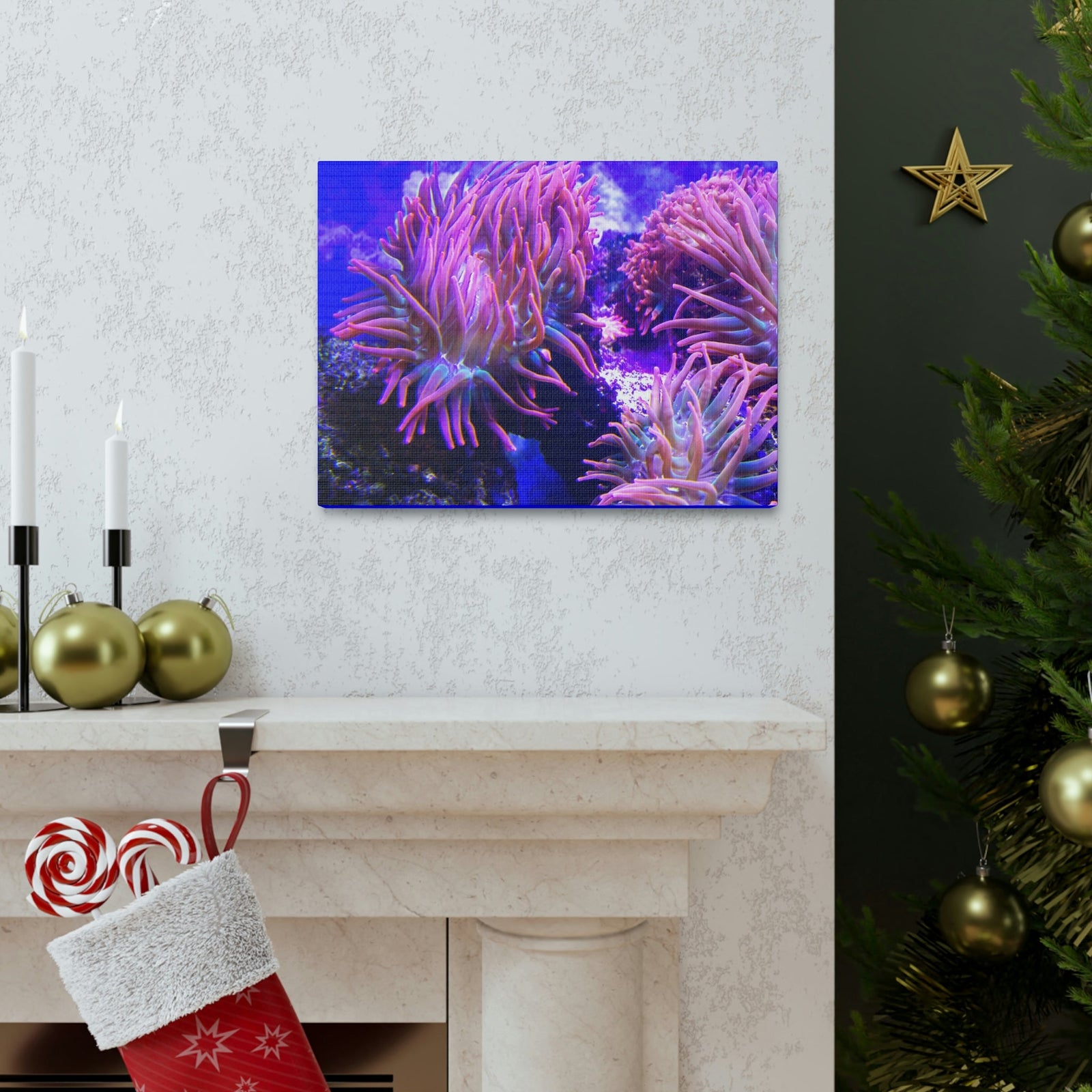 Scripture Walls Majestic Sea Anemone Art Majestic Sea Anemone Print Animal Wall Art Wildlife Canvas Prints Wall Art Ready to Hang Unframed-Express Your Love Gifts