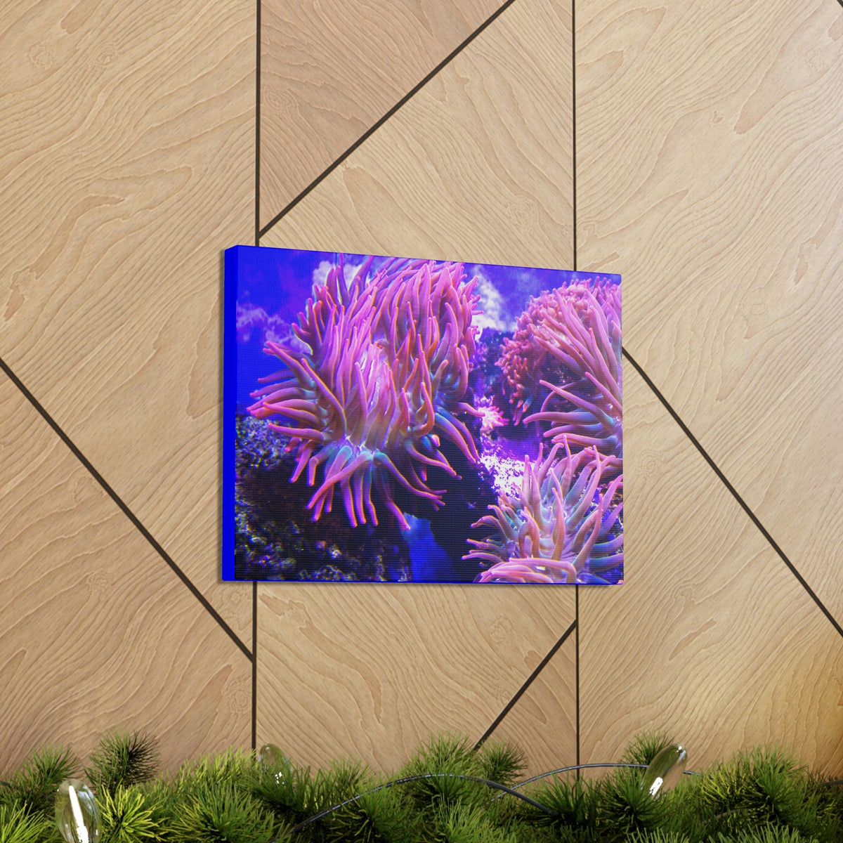 Scripture Walls Majestic Sea Anemone Art Majestic Sea Anemone Print Animal Wall Art Wildlife Canvas Prints Wall Art Ready to Hang Unframed-Express Your Love Gifts