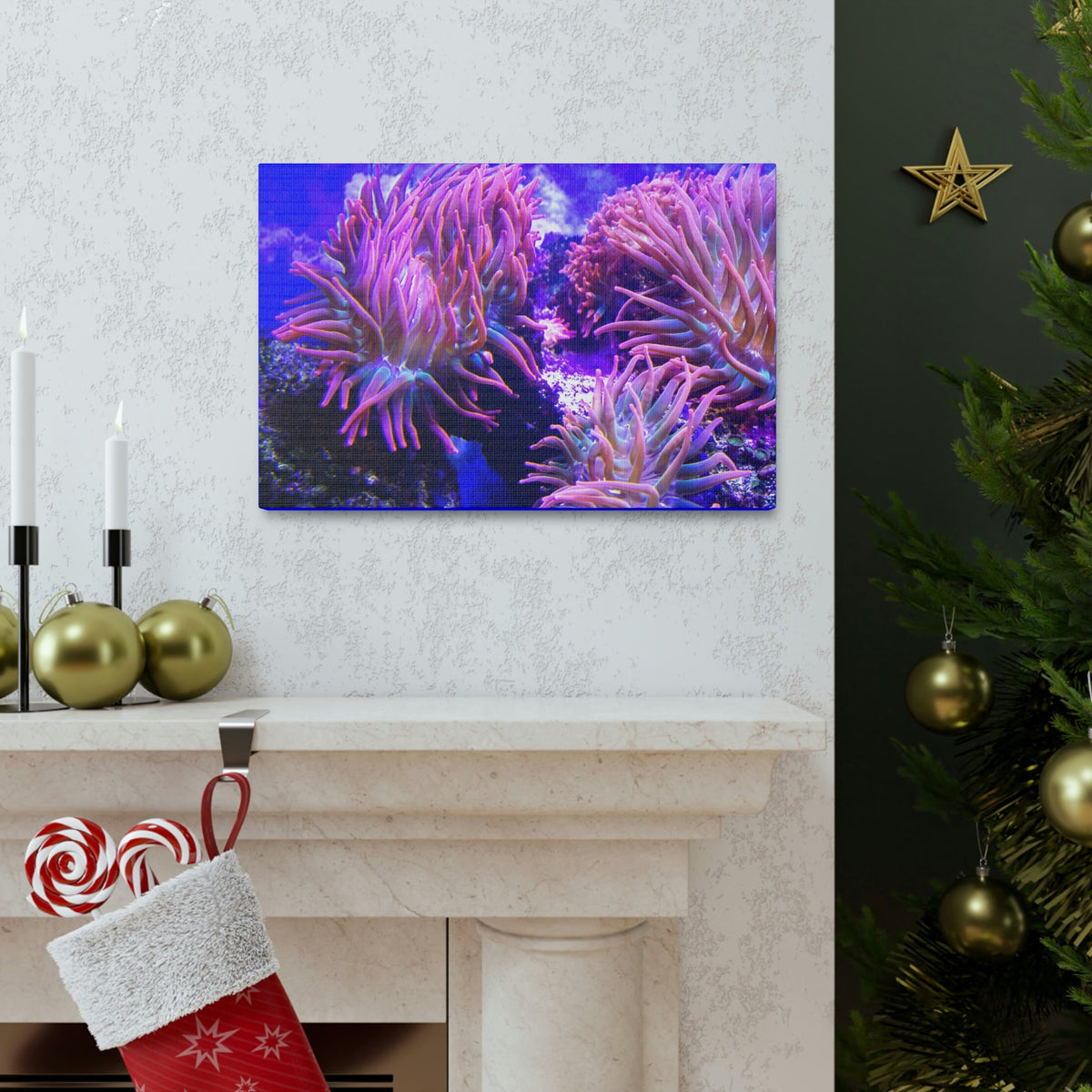 Scripture Walls Majestic Sea Anemone Art Majestic Sea Anemone Print Animal Wall Art Wildlife Canvas Prints Wall Art Ready to Hang Unframed-Express Your Love Gifts