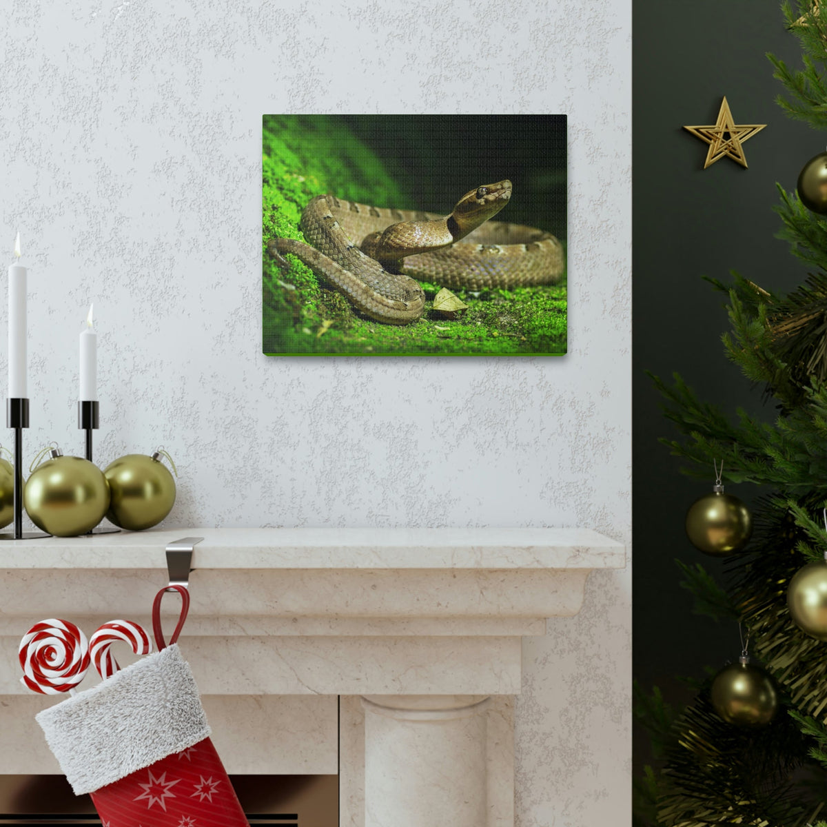 Scripture Walls Majestic Snake Art Majestic Snake Print Animal Wall Art Wildlife Canvas Prints Wall Art Ready to Hang Unframed-Express Your Love Gifts