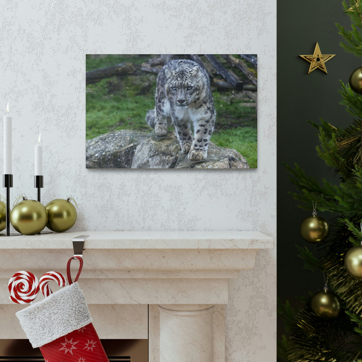 Scripture Walls Majestic Snow Leopard Art Majestic Snow Leopard Print Animal Wall Art Wildlife Canvas Prints Wall Art Ready to Hang Unframed-Express Your Love Gifts