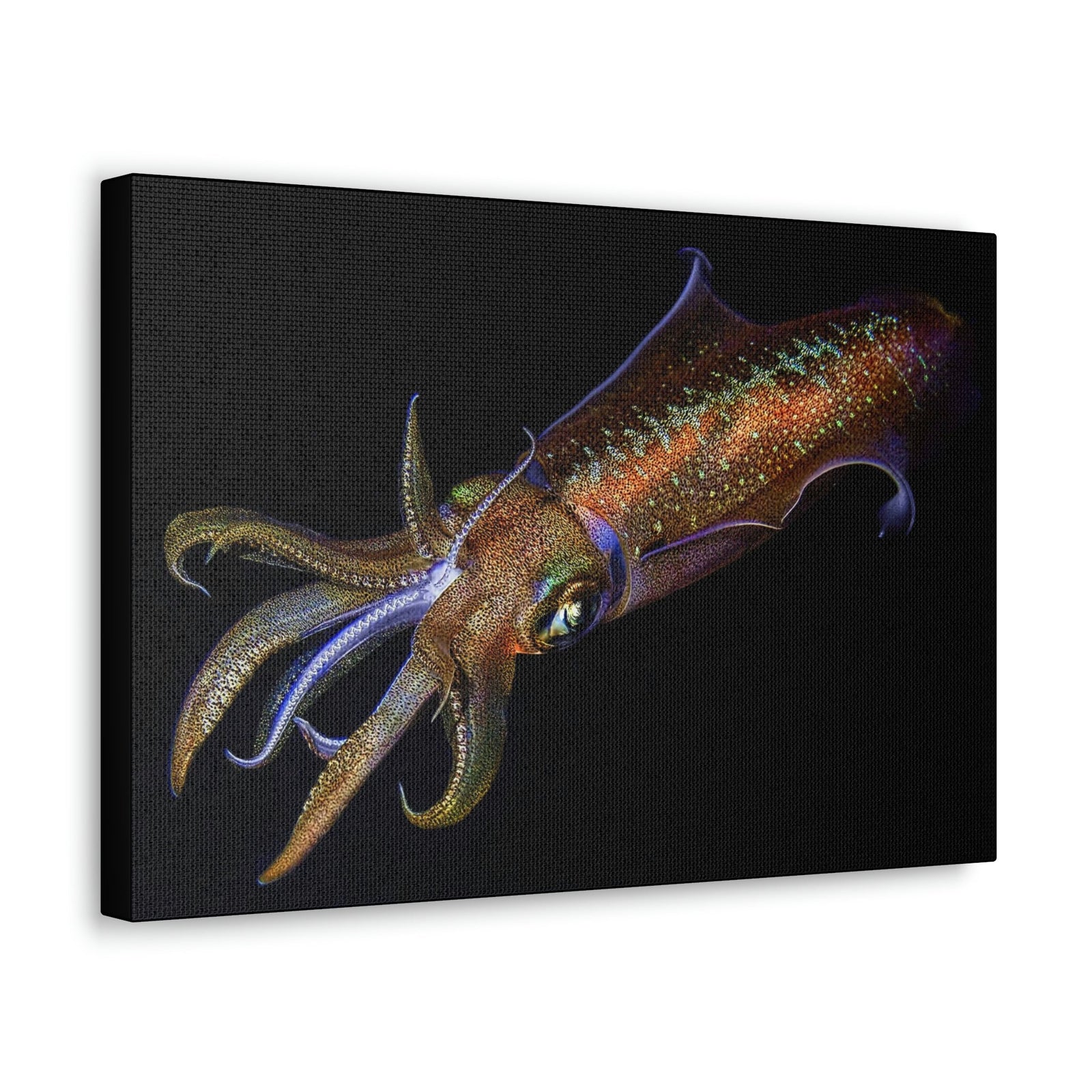 Scripture Walls Majestic Squid Art Majestic Squid Print Animal Wall Art Wildlife Canvas Prints Wall Art Ready to Hang Unframed-Express Your Love Gifts