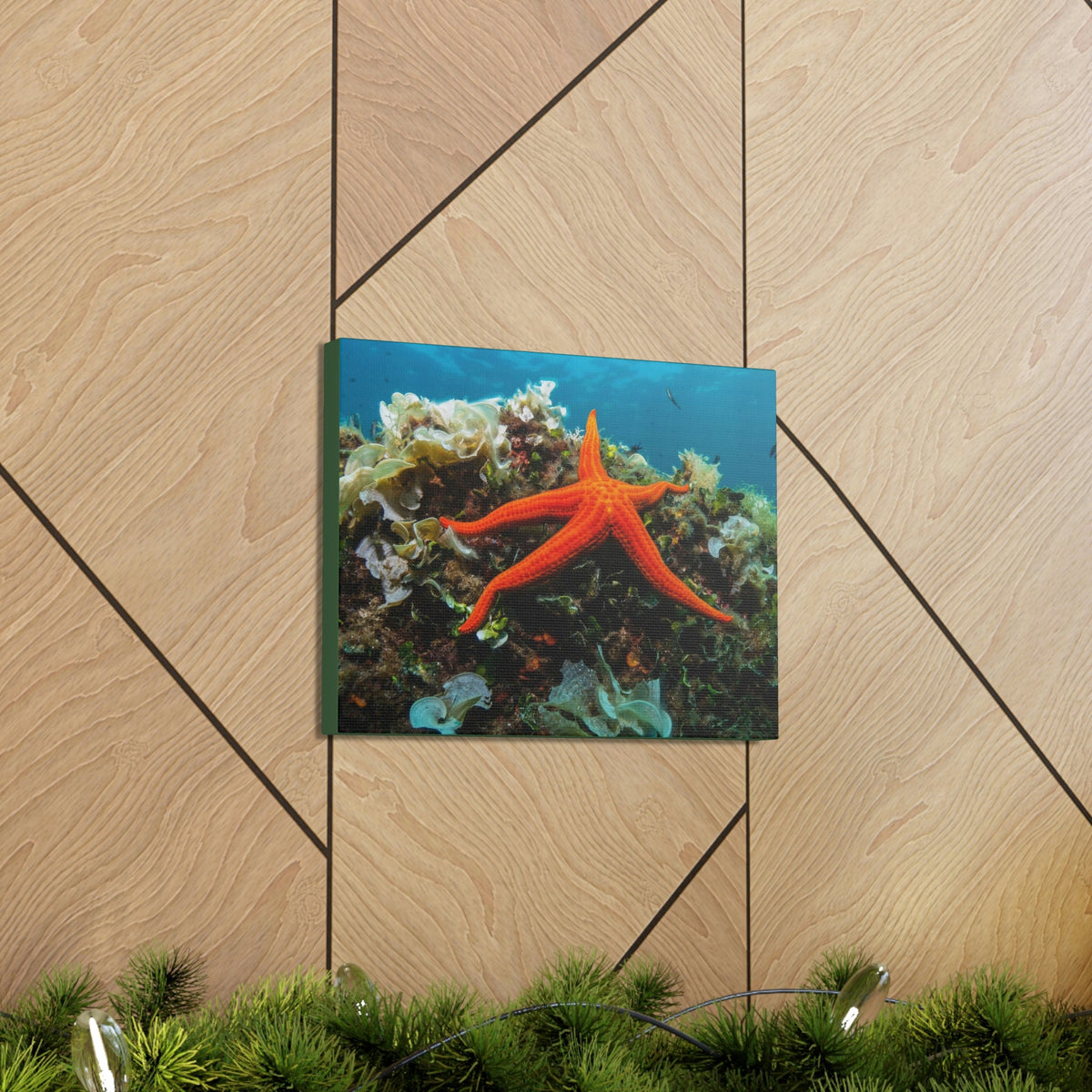 Scripture Walls Majestic Starfish Art Majestic Starfish Print Animal Wall Art Wildlife Canvas Prints Wall Art Ready to Hang Unframed-Express Your Love Gifts