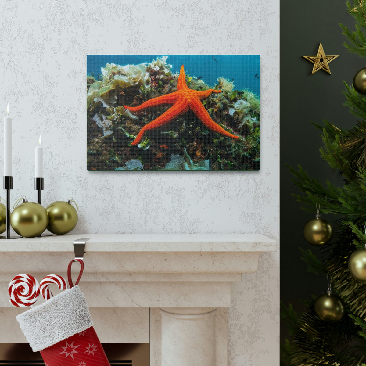 Scripture Walls Majestic Starfish Art Majestic Starfish Print Animal Wall Art Wildlife Canvas Prints Wall Art Ready to Hang Unframed-Express Your Love Gifts