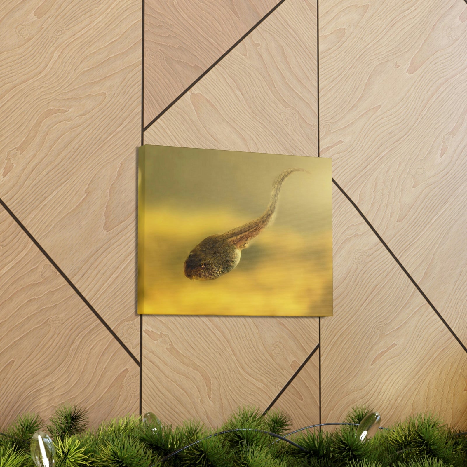 Scripture Walls Majestic Tadpole Art Majestic Tadpole Print Animal Wall Art Wildlife Canvas Prints Wall Art Ready to Hang Unframed-Express Your Love Gifts