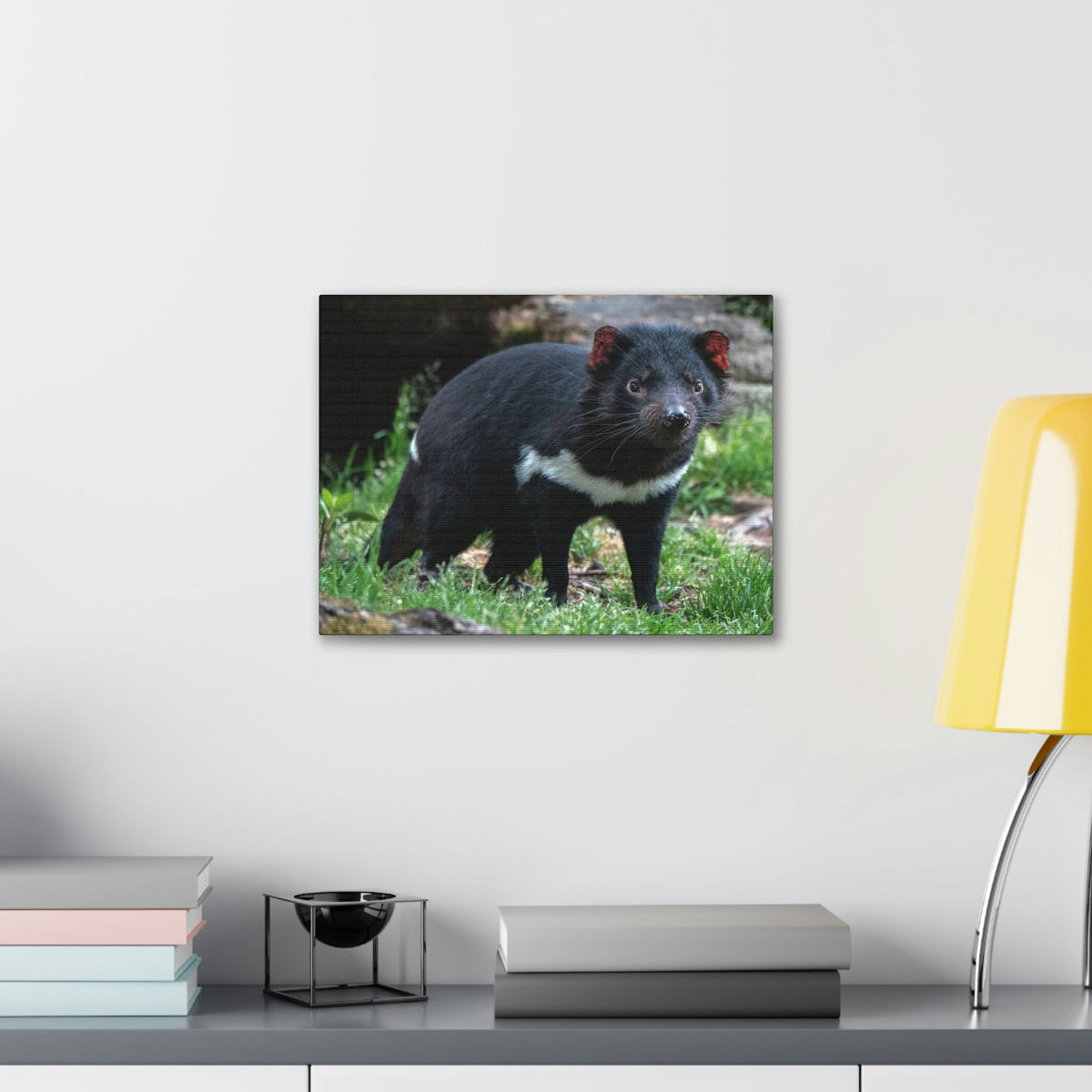 Scripture Walls Majestic Tasmanian Devil Art Majestic Tasmanian Devil Print Animal Wall Art Wildlife Canvas Prints Wall Art Ready to Hang Unframed-Express Your Love Gifts