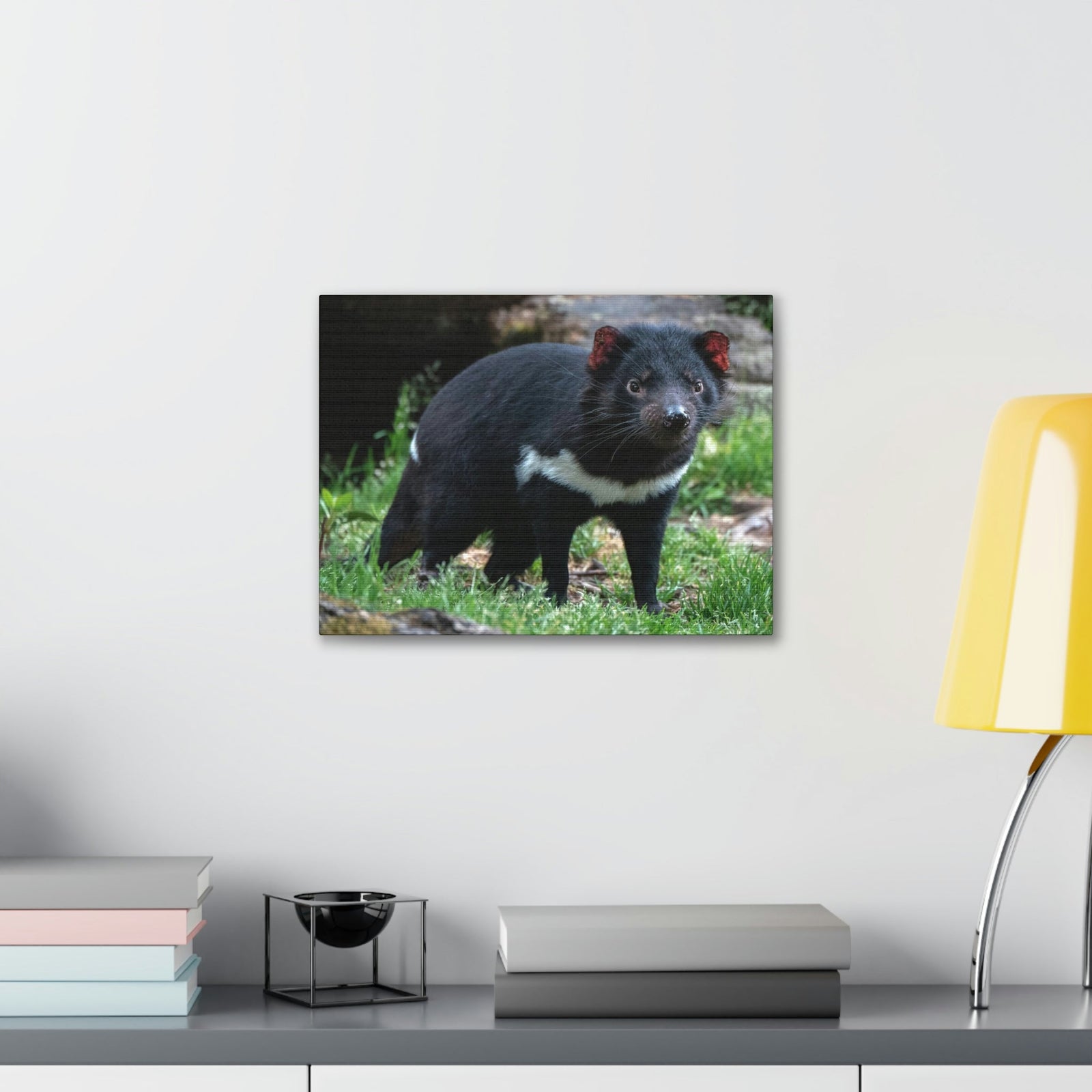 Scripture Walls Majestic Tasmanian Devil Art Majestic Tasmanian Devil Print Animal Wall Art Wildlife Canvas Prints Wall Art Ready to Hang Unframed-Express Your Love Gifts