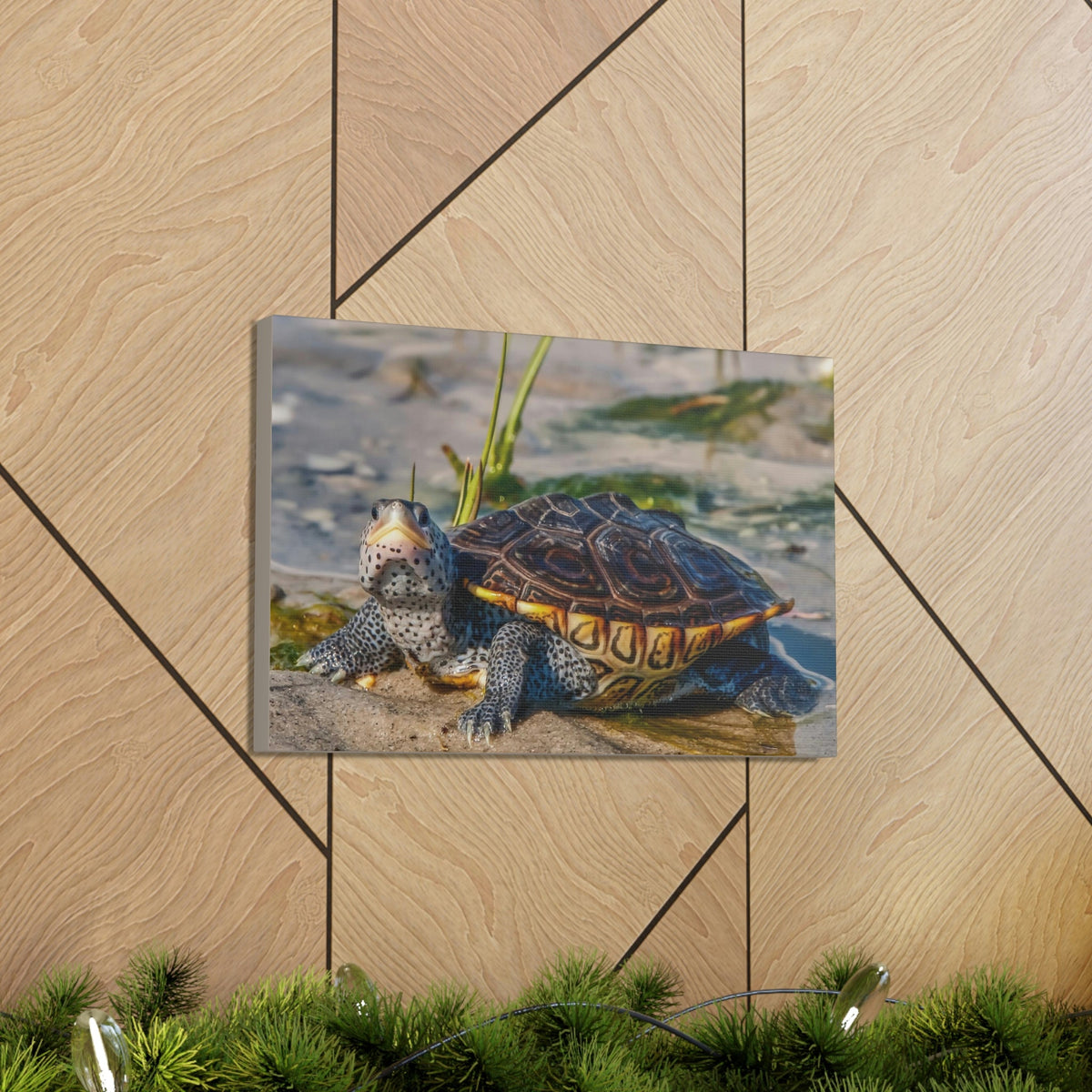 Scripture Walls Majestic Terrapin Art Majestic Terrapin Print Animal Wall Art Wildlife Canvas Prints Wall Art Ready to Hang Unframed-Express Your Love Gifts