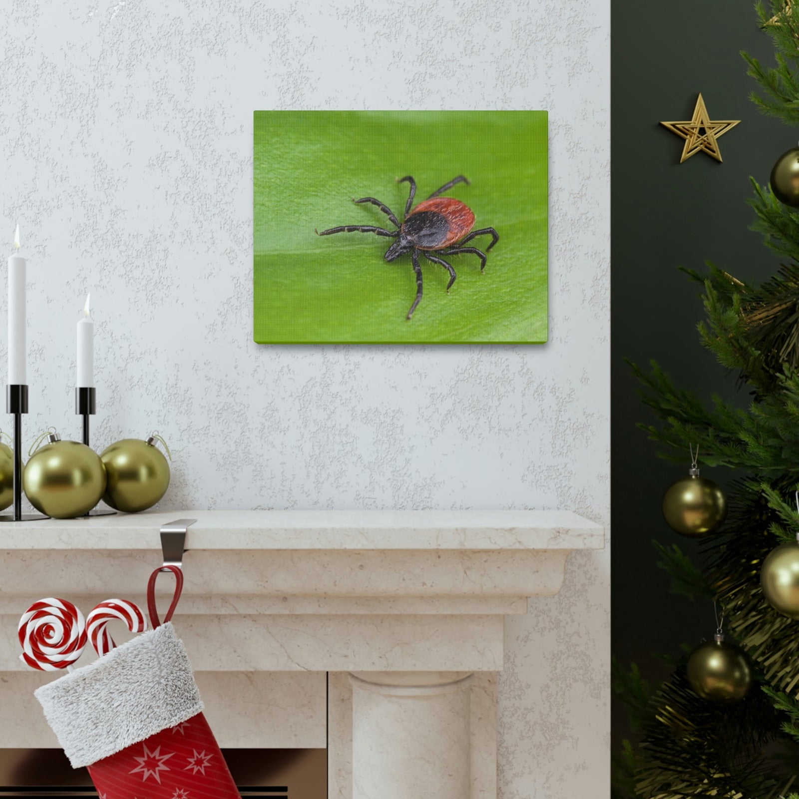 Scripture Walls Majestic Tick Art Majestic Tick Print Animal Wall Art Wildlife Canvas Prints Wall Art Ready to Hang Unframed-Express Your Love Gifts