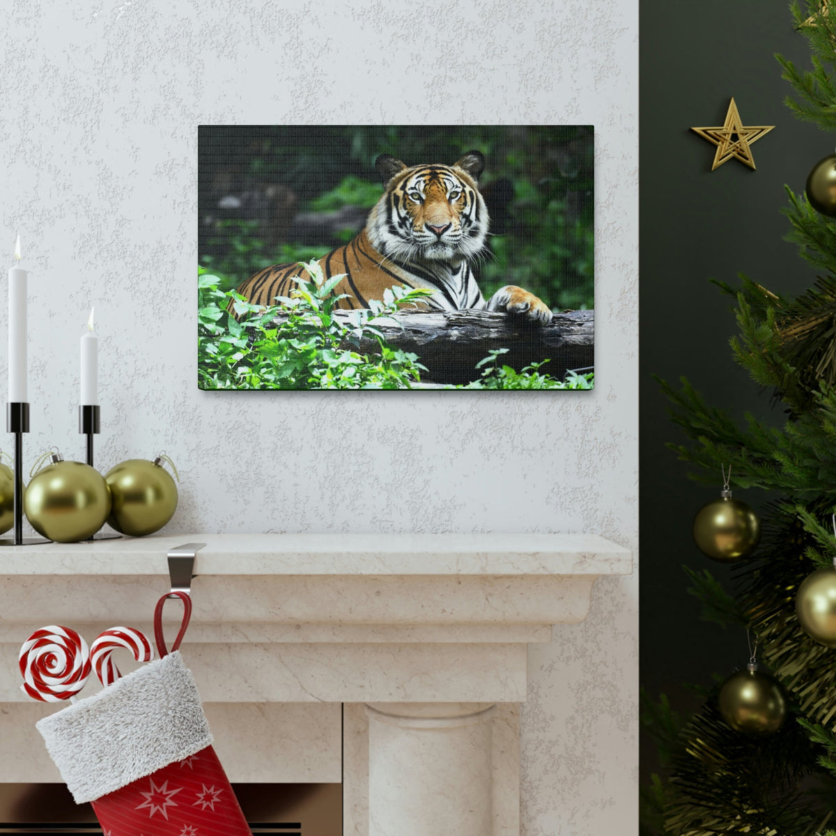 Scripture Walls Majestic Tiger Art Majestic Tiger Print Animal Wall Art Wildlife Canvas Prints Wall Art Ready to Hang Unframed-Express Your Love Gifts
