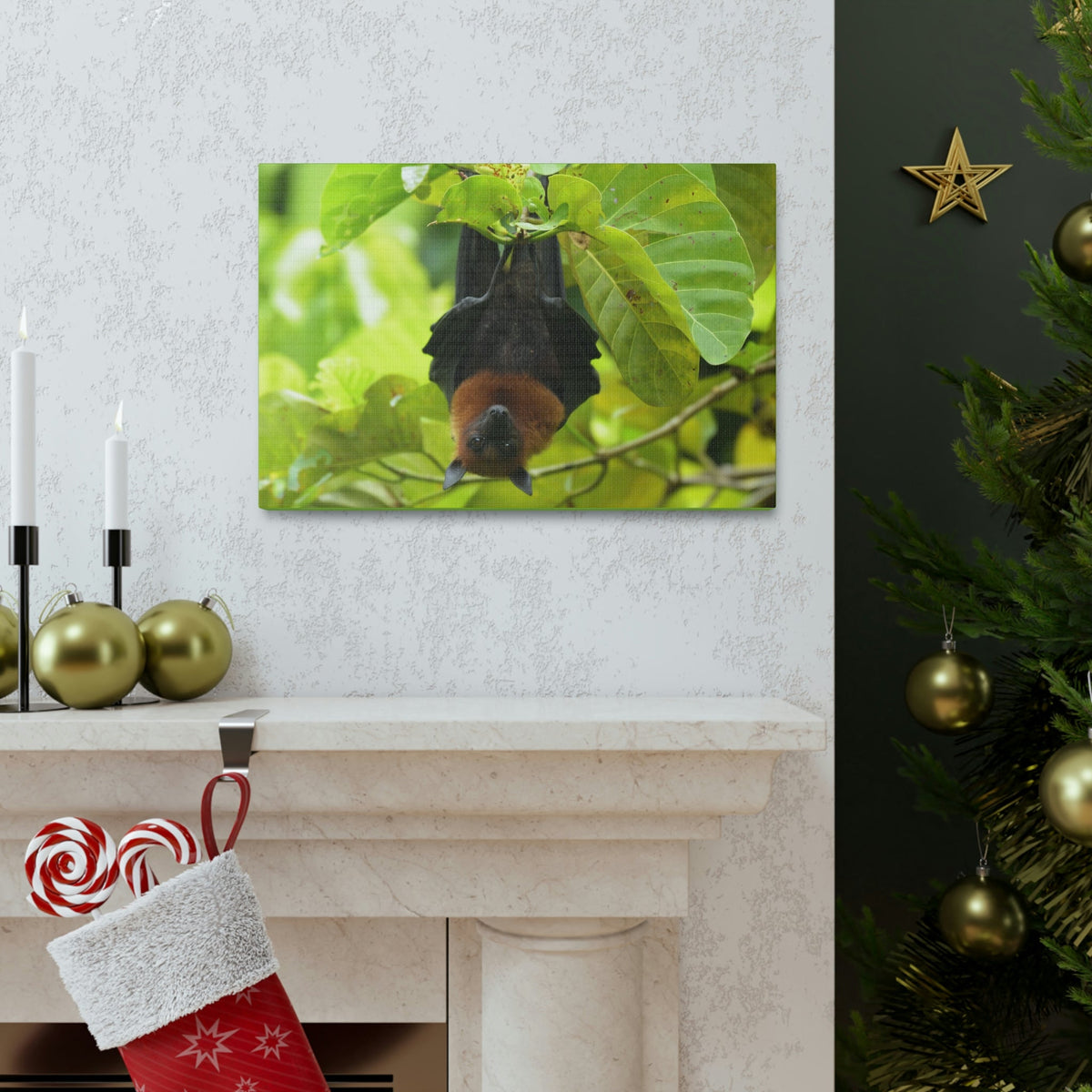 Scripture Walls Majestic Vampire Bat Art Majestic Vampire Bat Print Animal Wall Art Wildlife Canvas Prints Wall Art Ready to Hang Unframed-Express Your Love Gifts