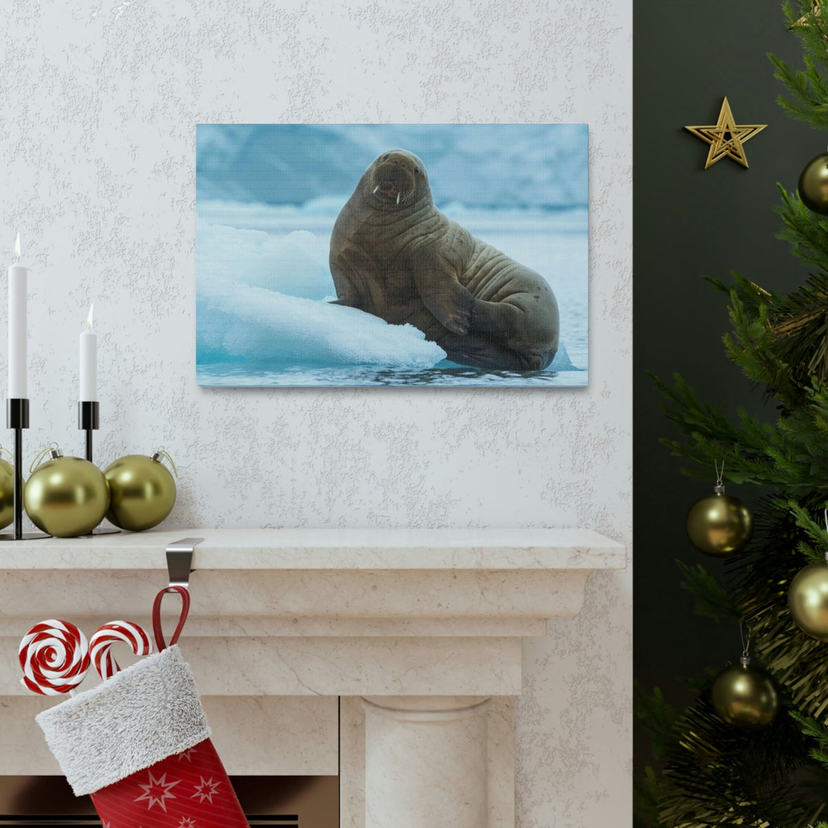 Scripture Walls Majestic Walrus Art Majestic Walrus Print Animal Wall Art Wildlife Canvas Prints Wall Art Ready to Hang Unframed-Express Your Love Gifts