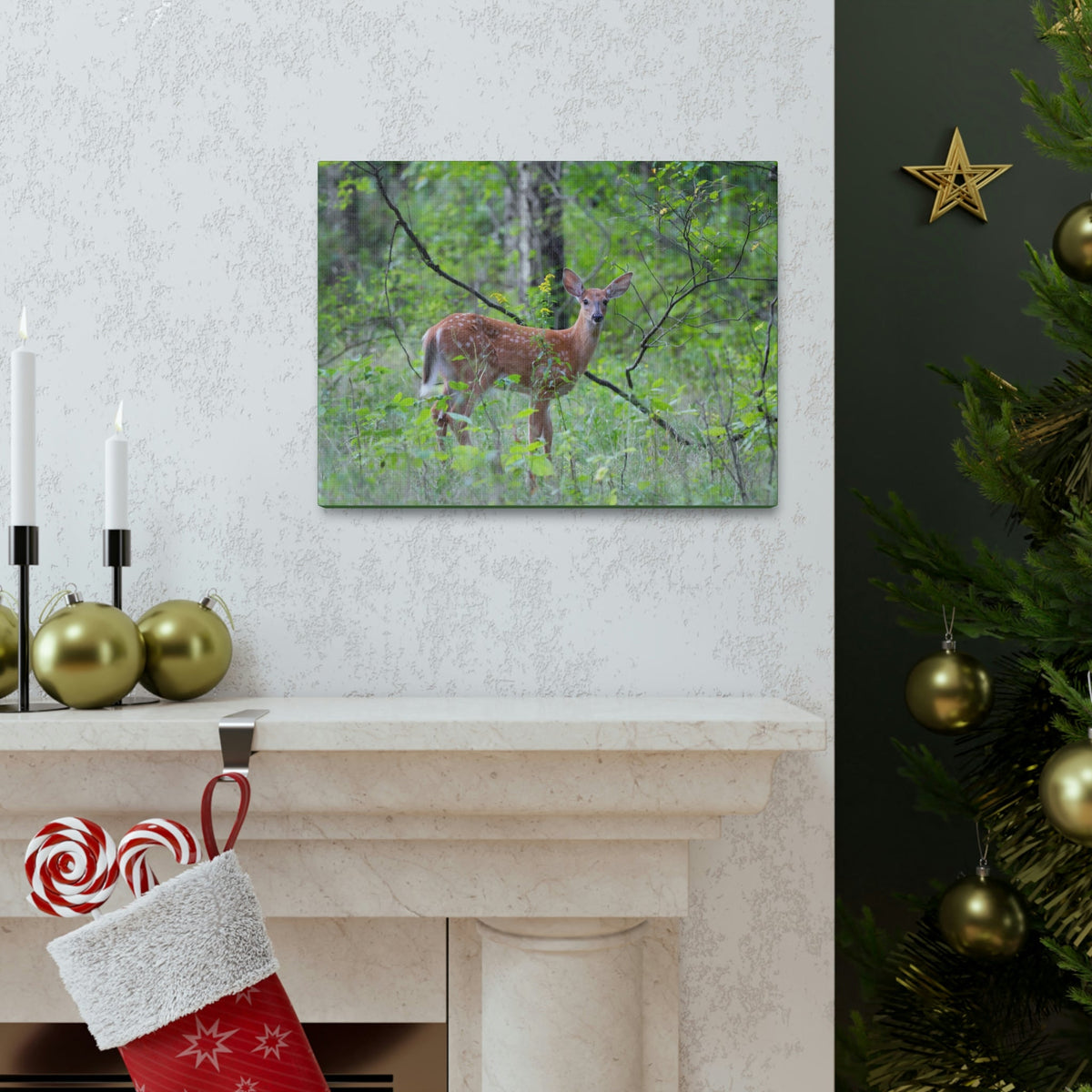 Scripture Walls Majestic White Tailed Deer Art Majestic White Tailed Deer Print Animal Wall Art Wildlife Canvas Prints Wall Art Ready to Hang Unframed-Express Your Love Gifts