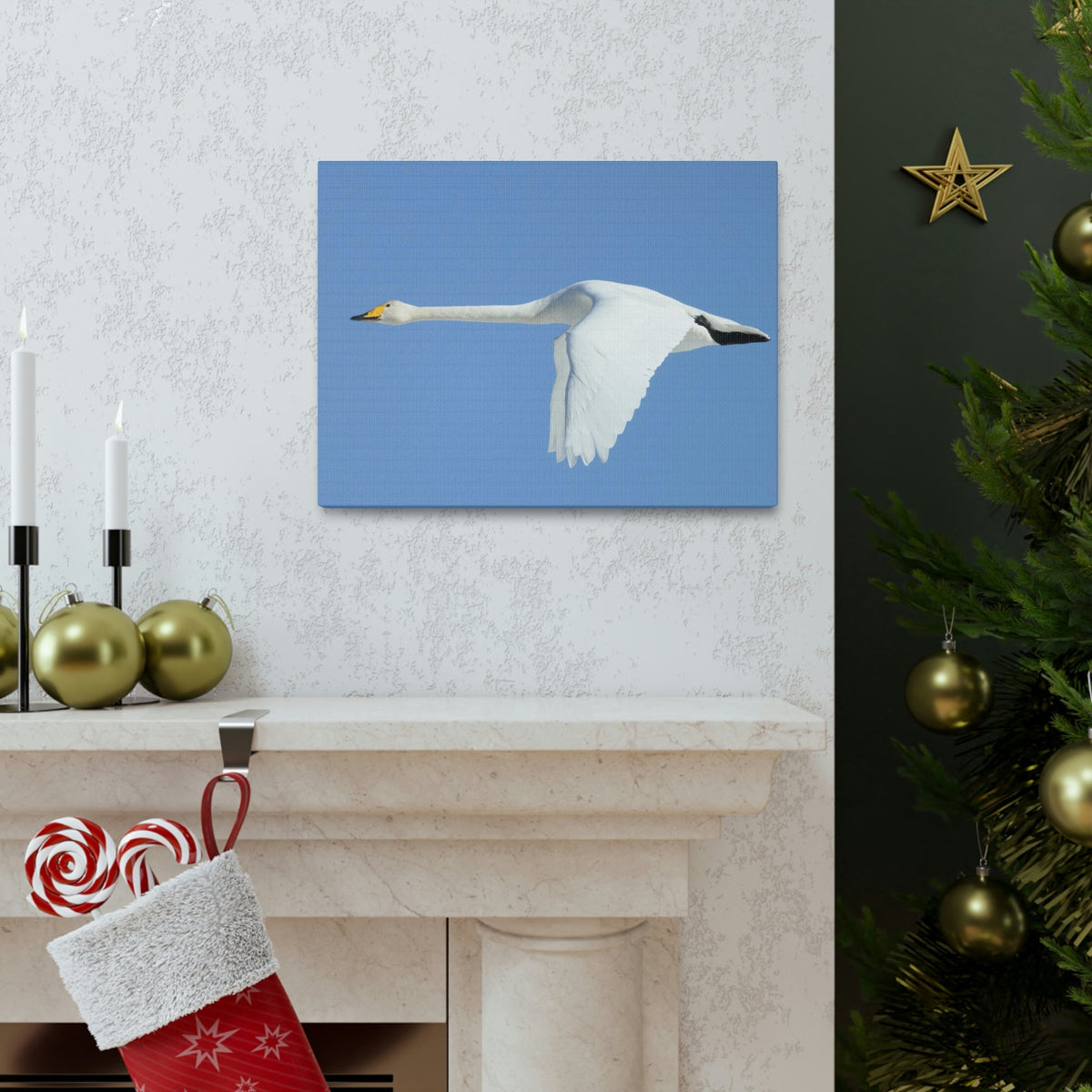 Scripture Walls Majestic Whooper Art Majestic Whooper Print Animal Wall Art Wildlife Canvas Prints Wall Art Ready to Hang Unframed-Express Your Love Gifts