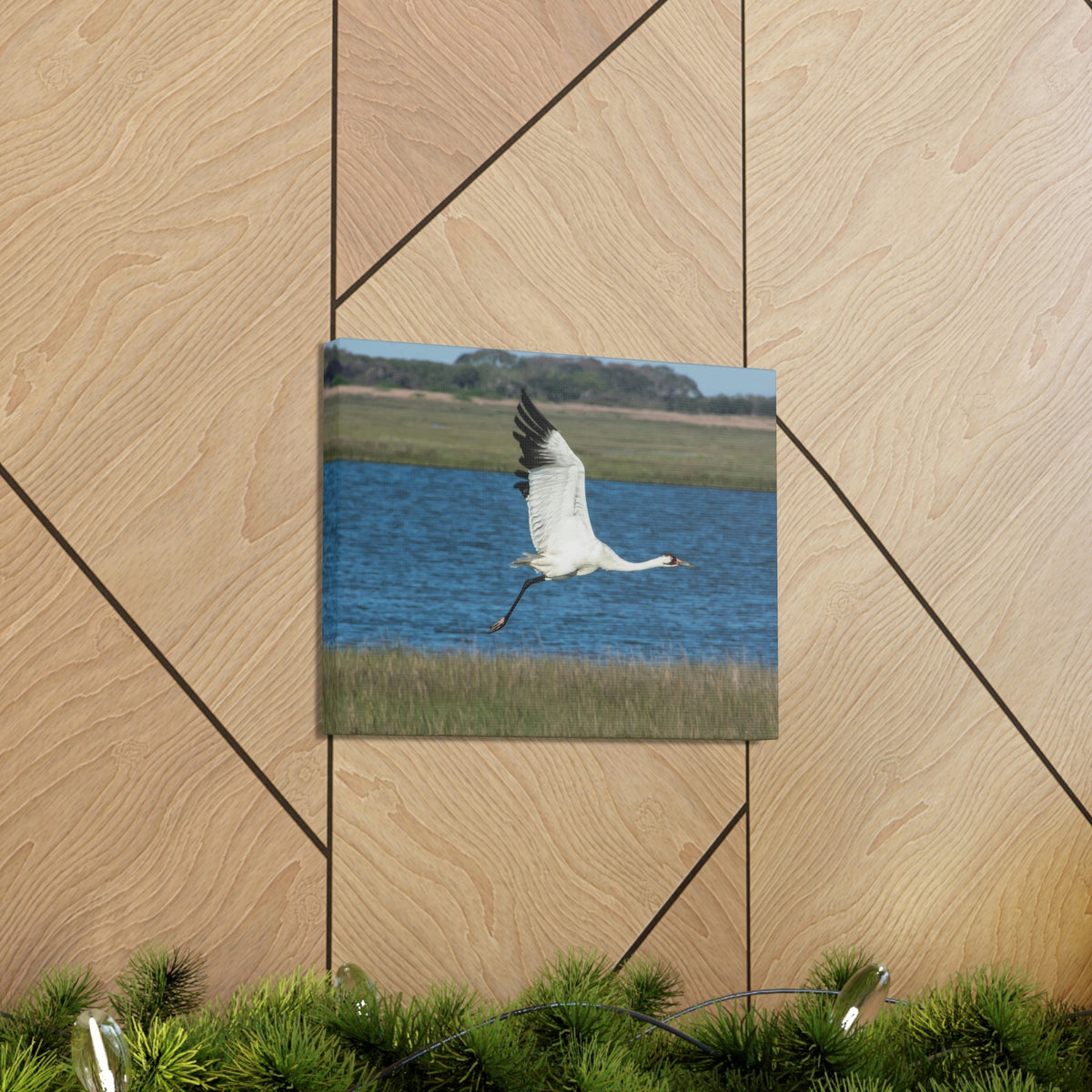 Scripture Walls Majestic Whooping Crane Art Majestic Whooping Crane Print Animal Wall Art Wildlife Canvas Prints Wall Art Ready to Hang Unframed-Express Your Love Gifts