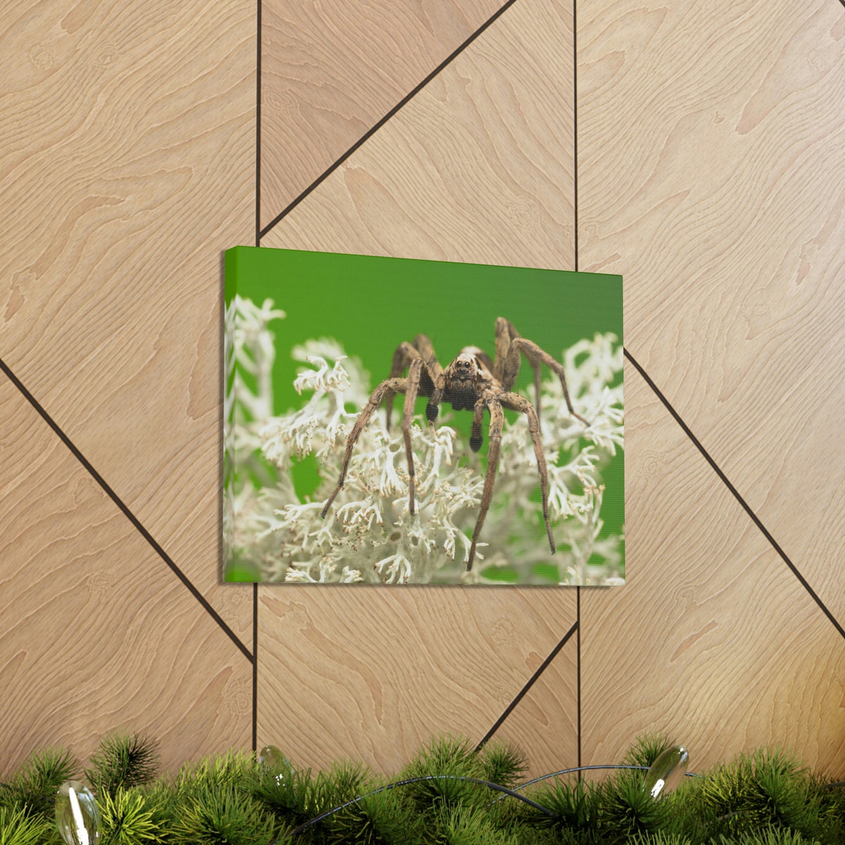 Scripture Walls Majestic Wolf Spider Art Majestic Wolf Spider Print Animal Wall Art Wildlife Canvas Prints Wall Art Ready to Hang Unframed-Express Your Love Gifts