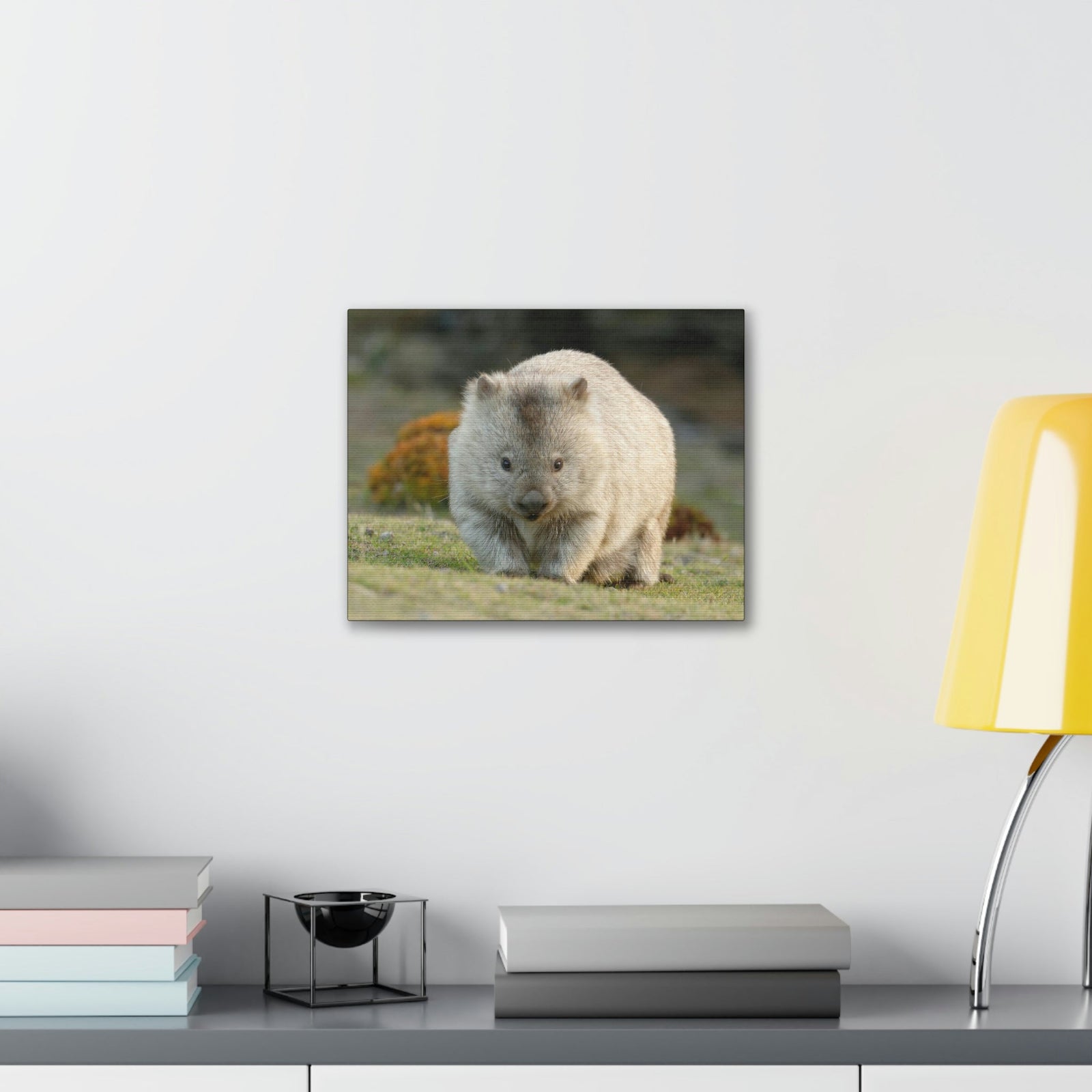 Scripture Walls Majestic Wombat Art Majestic Wombat Print Animal Wall Art Wildlife Canvas Prints Wall Art Ready to Hang Unframed-Express Your Love Gifts