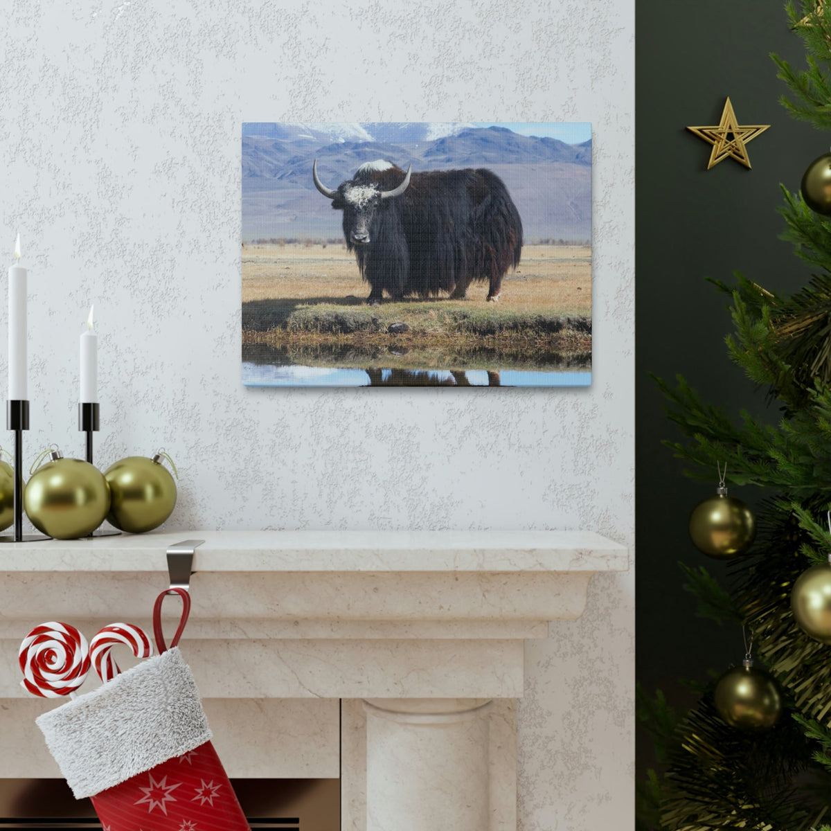 Scripture Walls Majestic Yak Art Majestic Yak Print Animal Wall Art Wildlife Canvas Prints Wall Art Ready to Hang Unframed-Express Your Love Gifts