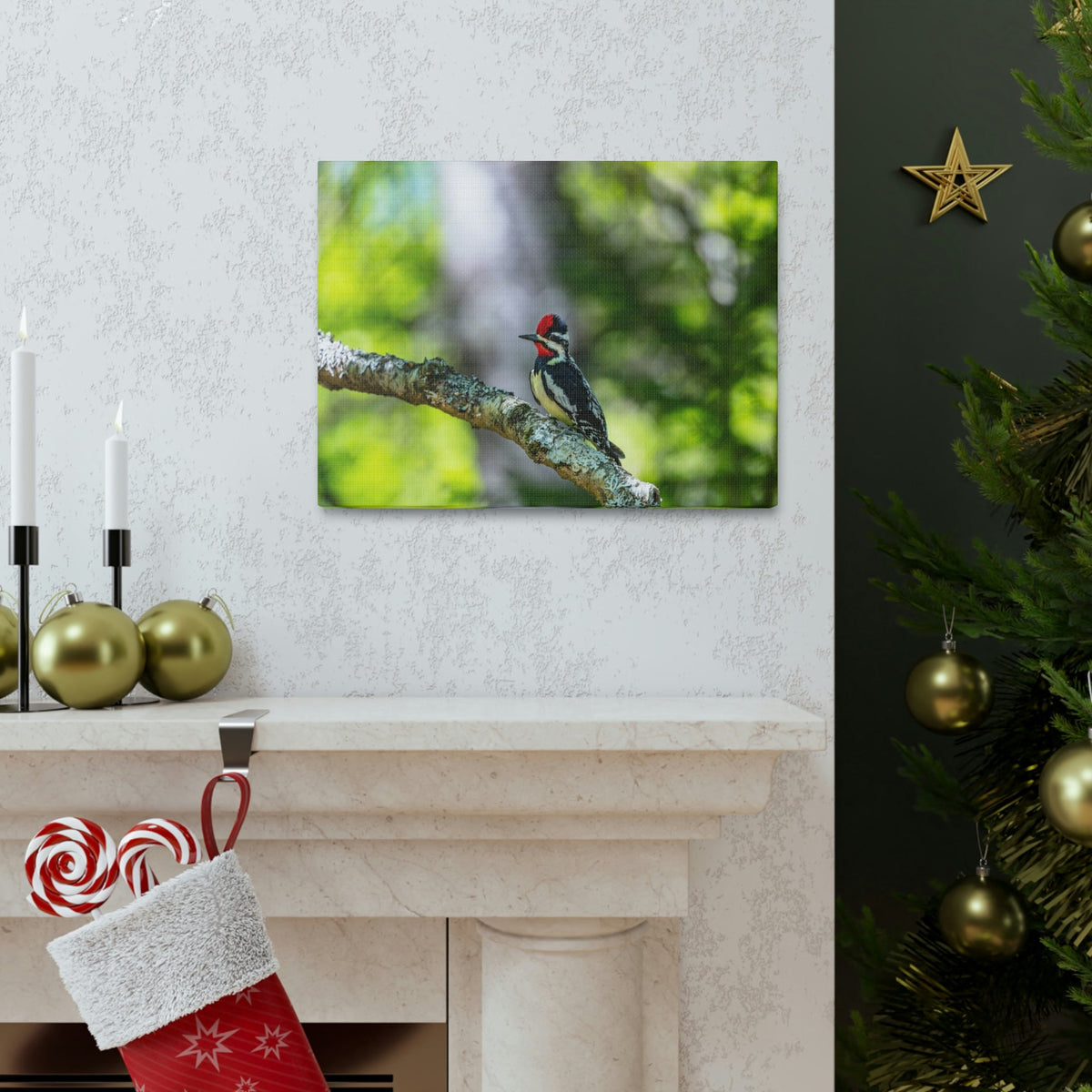 Scripture Walls Majestic Yellow Bellied Sapsucker on a Tree Branch Print Animal Wall Art Wildlife Canvas Prints Wall Art Ready to Hang Unframed-Express Your Love Gifts