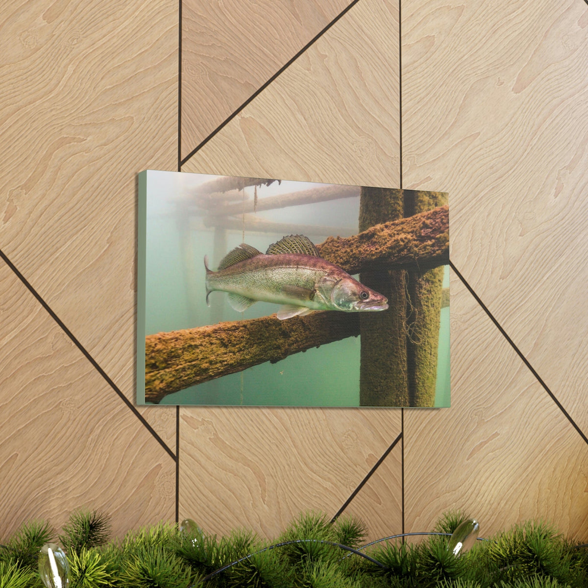 Scripture Walls Majestic Zander Art Majestic Zander Print Animal Wall Art Wildlife Canvas Prints Wall Art Ready to Hang Unframed-Express Your Love Gifts